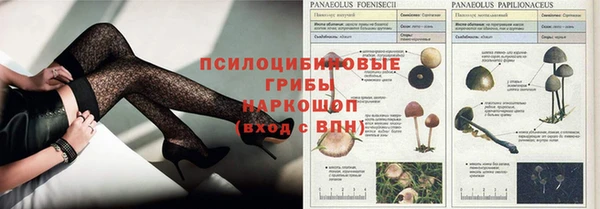а пвп мука Каменногорск