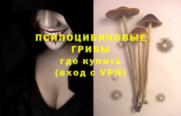 трава Каменка