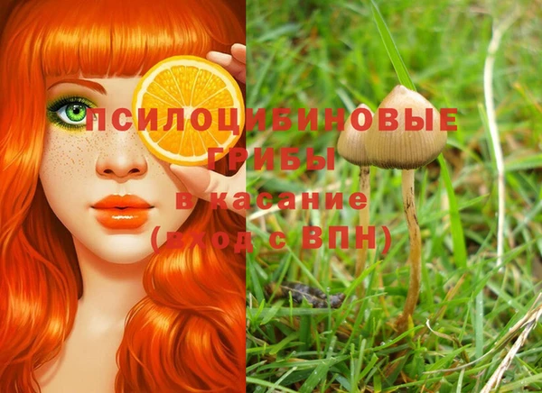 а пвп мука Каменногорск