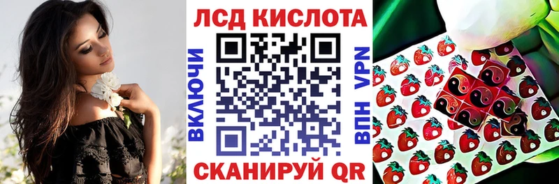 Марки N-bome 1,8мг  Купить закладки  Злынка 