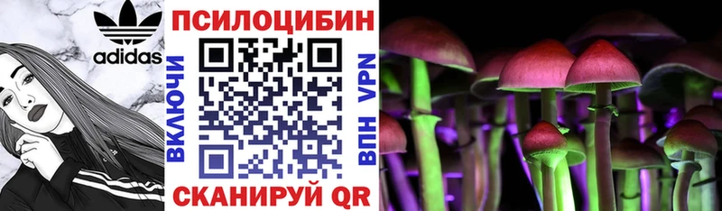 Псилоцибиновые грибы Cubensis  Купить закладки  Злынка 