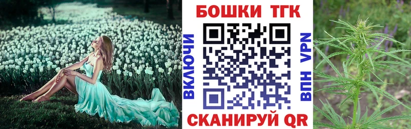 Купить где  Злынка  Бошки Шишки THC 21% 